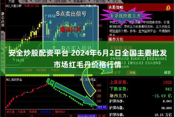 安全炒股配资平台 2024年6月2日全国主要批发市场红毛丹价格行情