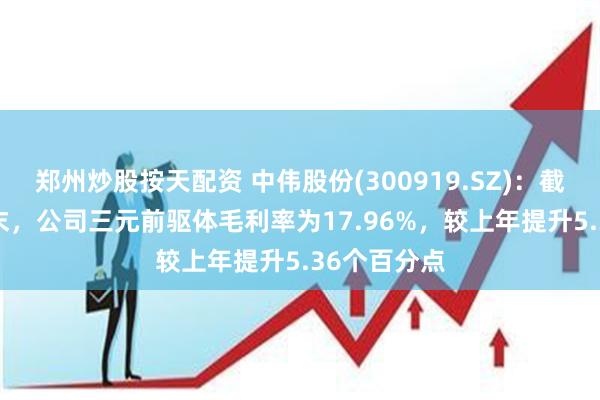 郑州炒股按天配资 中伟股份(300919.SZ)：截至2023年末，公司三元前驱体毛利率为17.96%，较上年提升5.36个百分点