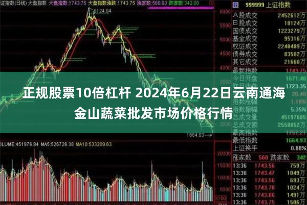 正规股票10倍杠杆 2024年6月22日云南通海金山蔬菜批发市场价格行情