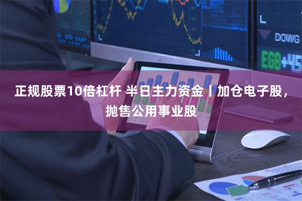 正规股票10倍杠杆 半日主力资金丨加仓电子股，抛售公用事