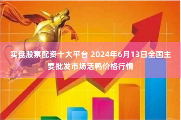 实盘股票配资十大平台 2024年6月13日全国主要批发市场活鸭价格行情