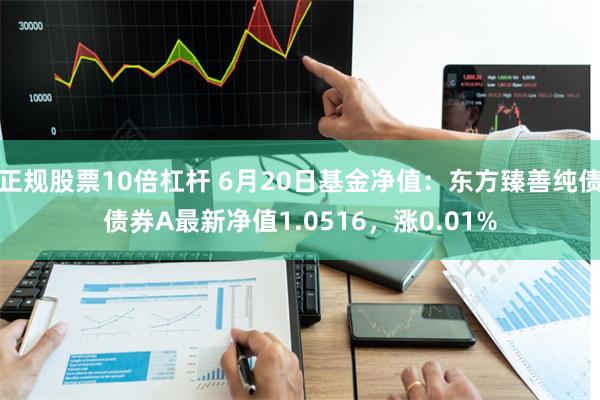 正规股票10倍杠杆 6月20日基金净值：东方臻善纯债债券A最新净值1.0516，涨0.01%