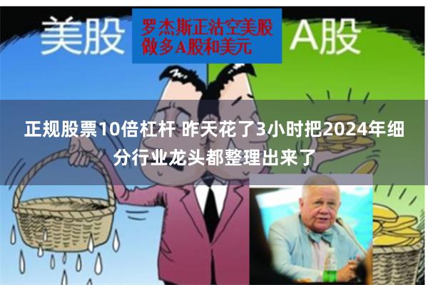 正规股票10倍杠杆 昨天花了3小时把2024年细分行业龙